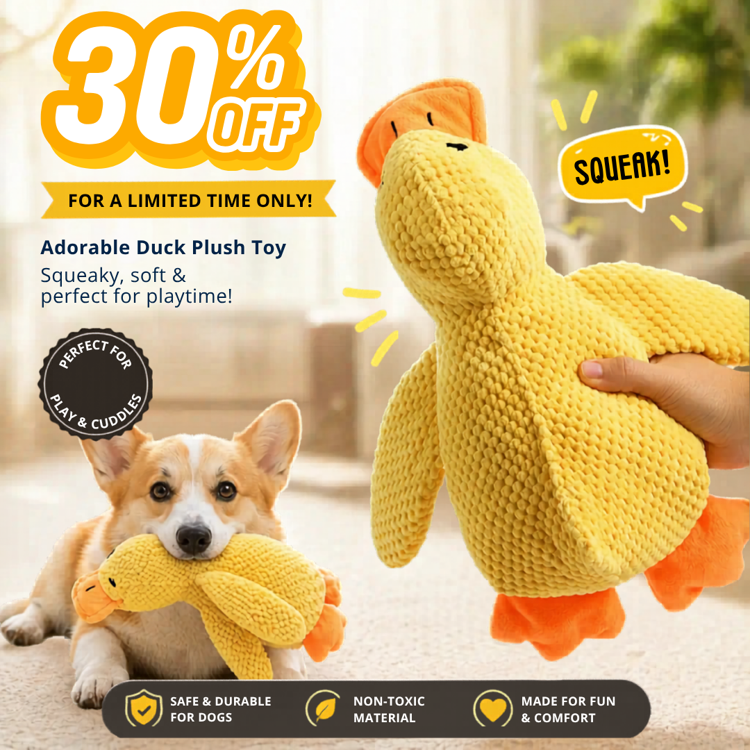 Duck Toy
