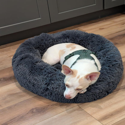 Pawthentic™ Donut Bed