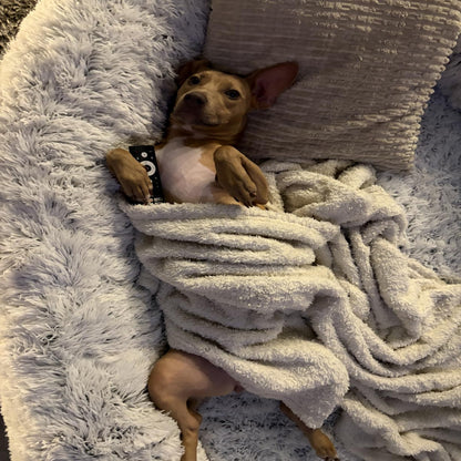Pawthentic™ Donut Bed