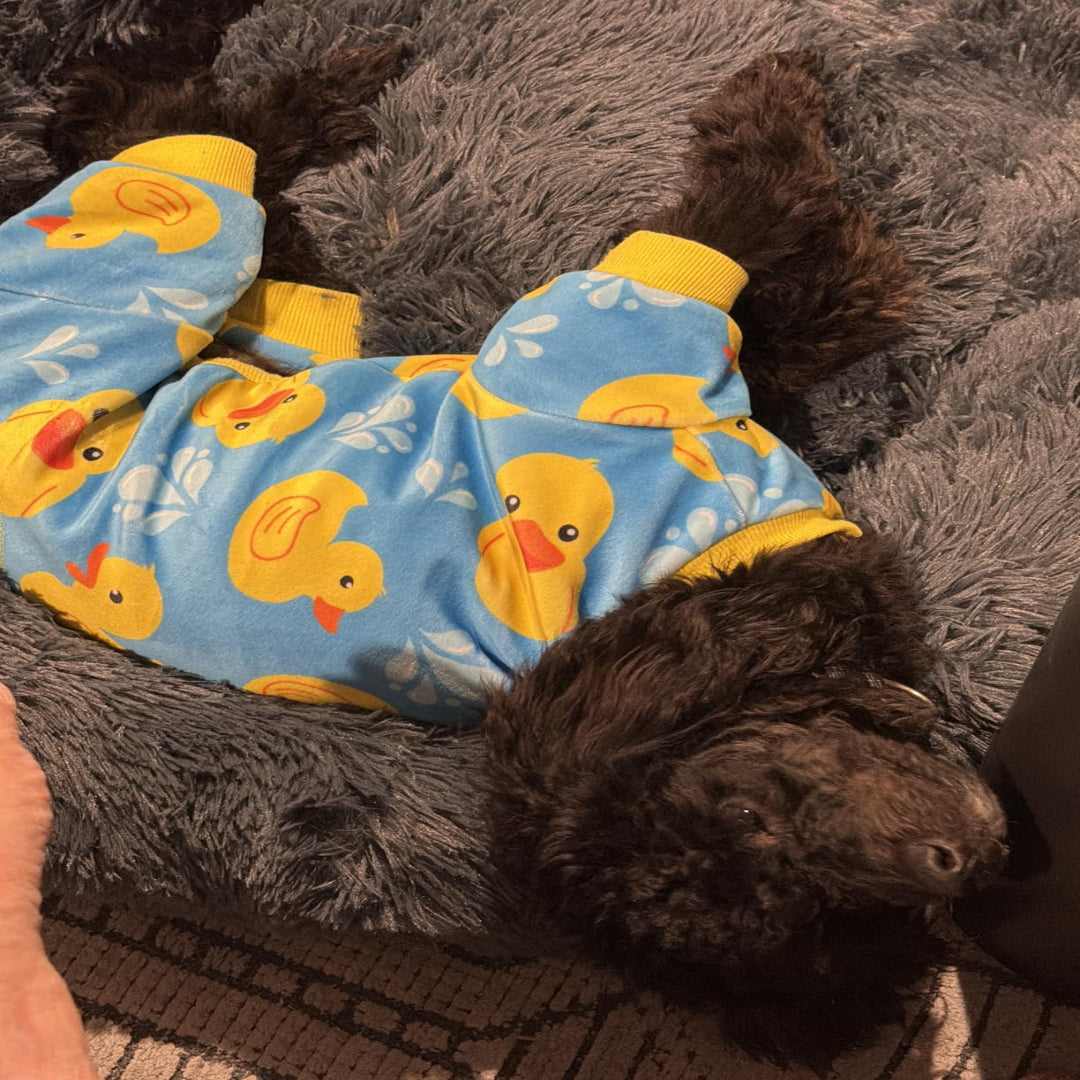 Pawthentic™ Donut Bed