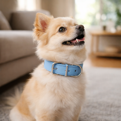 Pawthentic™ Pet Collar