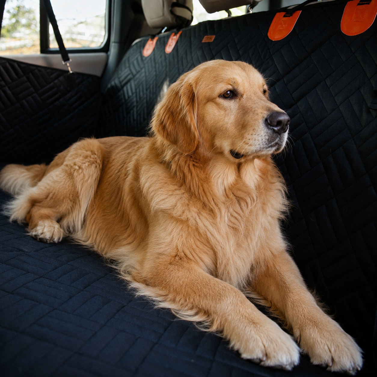 Hard Bottom Dog Car Seat Protector