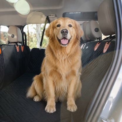 Hard Bottom Dog Car Seat Protector