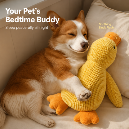 Duck Toy