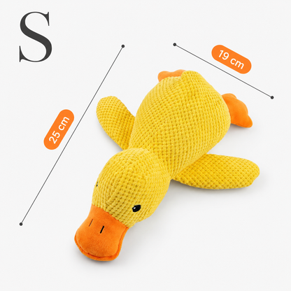 Duck Toy