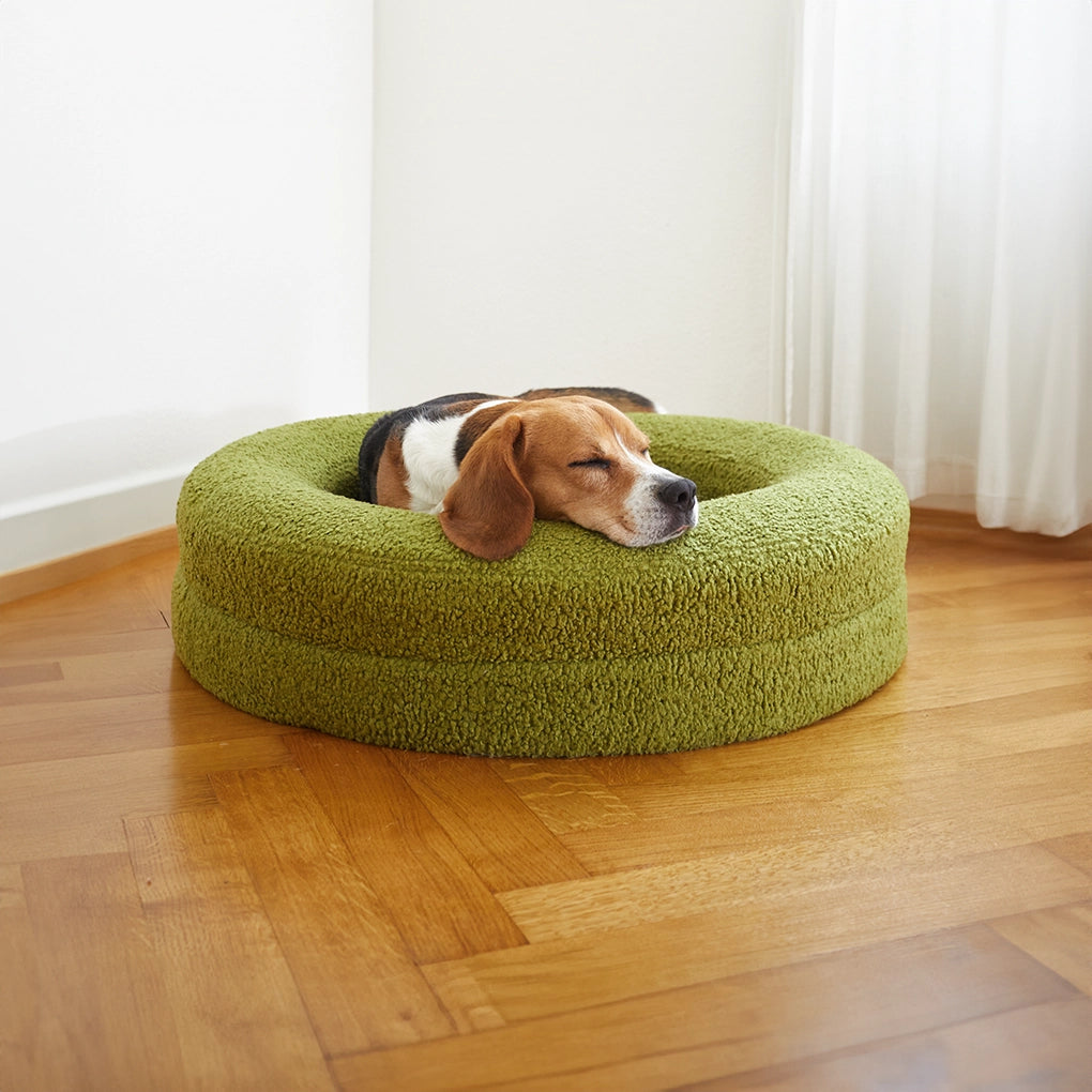 Pawthentic Teddy Curl Bed