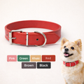 Pawthentic™ Pet Collar