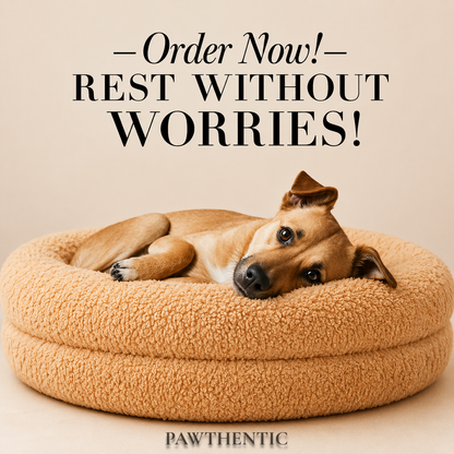Pawthentic Teddy Curl Bed