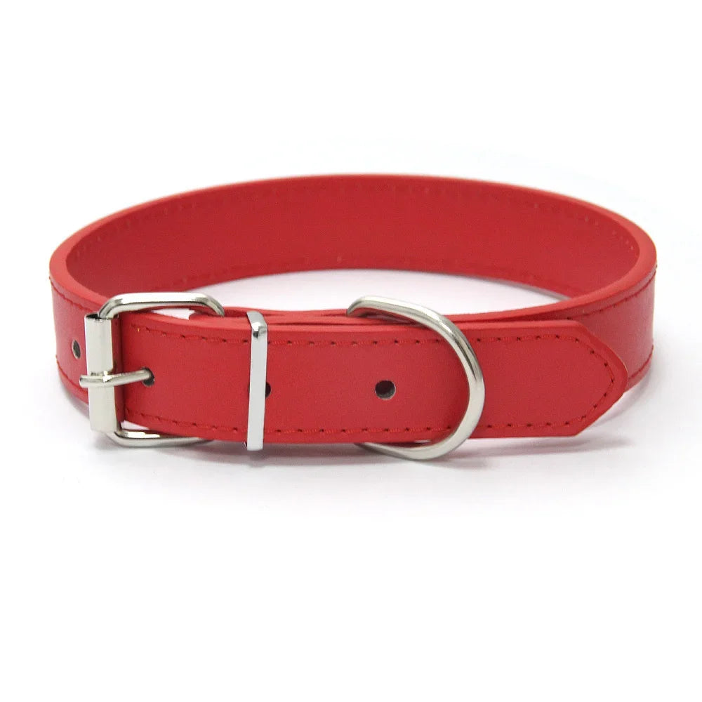 Pawthentic™ Pet Collar