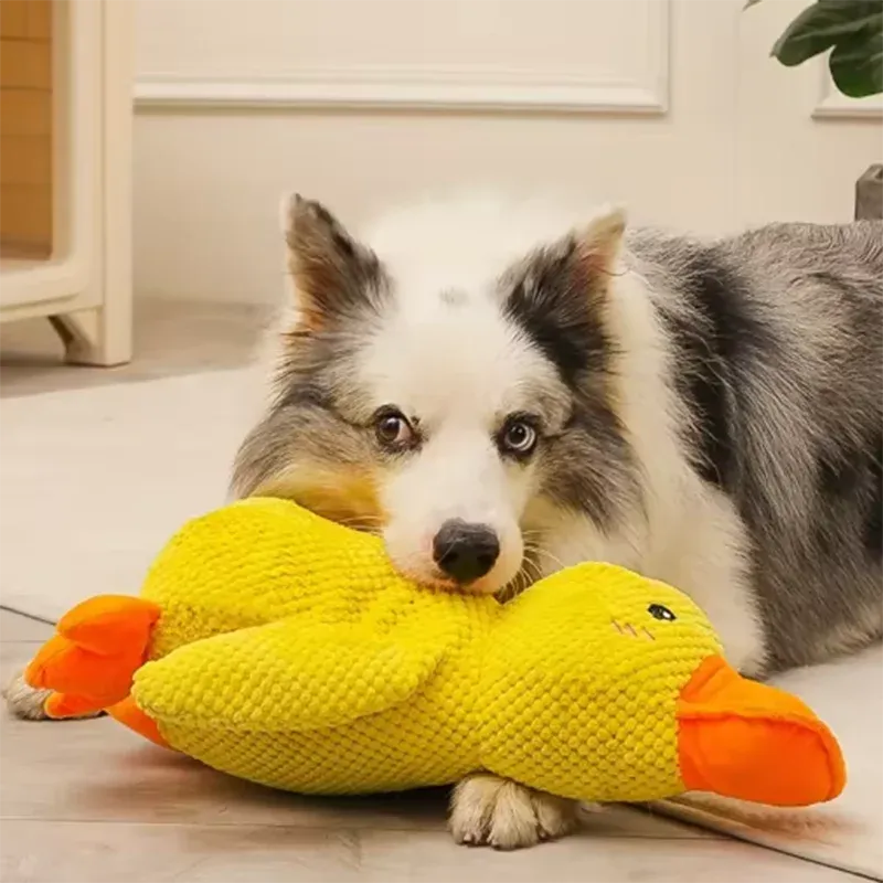 Cute Duck Plush Toy